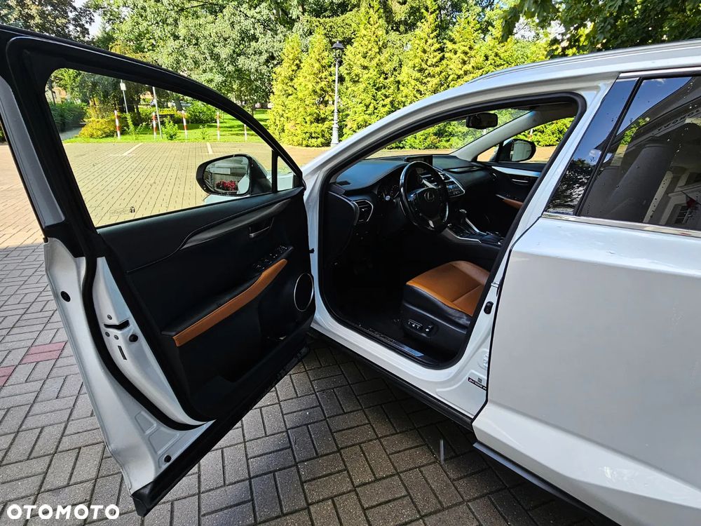 Lexus NX - 10