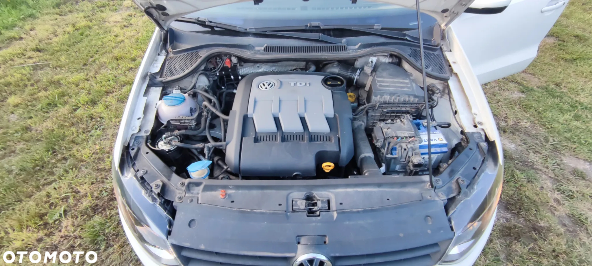 Volkswagen Polo 1.2 TDI Blue Motion 87g - 17