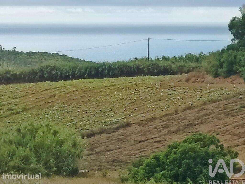 Terreno para construção em Lourinhã e Atalaia de 2358,00 m2 - Grande imagem: 2/20
