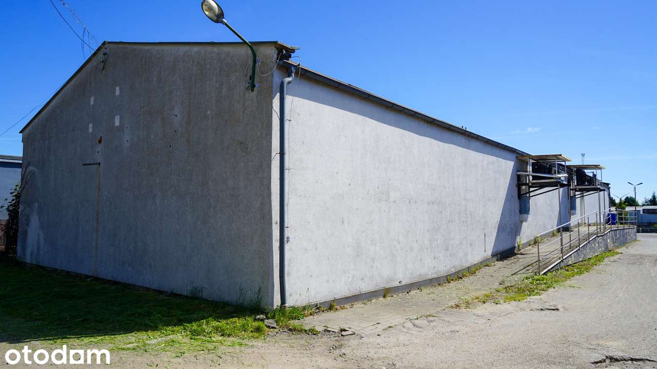 Budynek mroźnia 370m² idealny pod funkcje produkcyjno-magazynowe - Pełny obrazek: 4/8