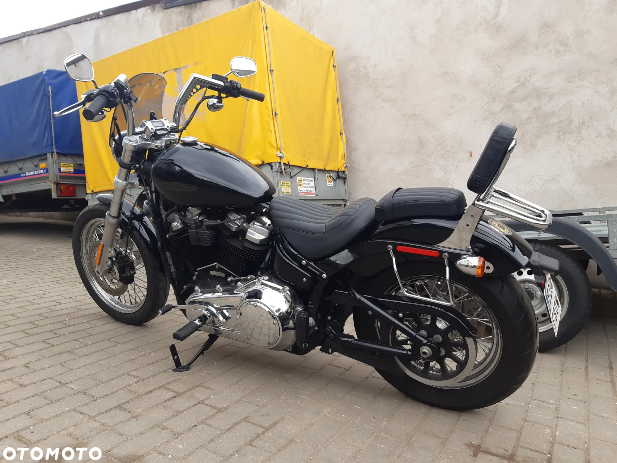 Harley-Davidson Softail Standard - 8