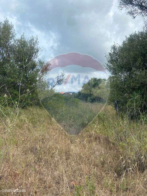 Terreno  para venda - Grande imagem: 4/4