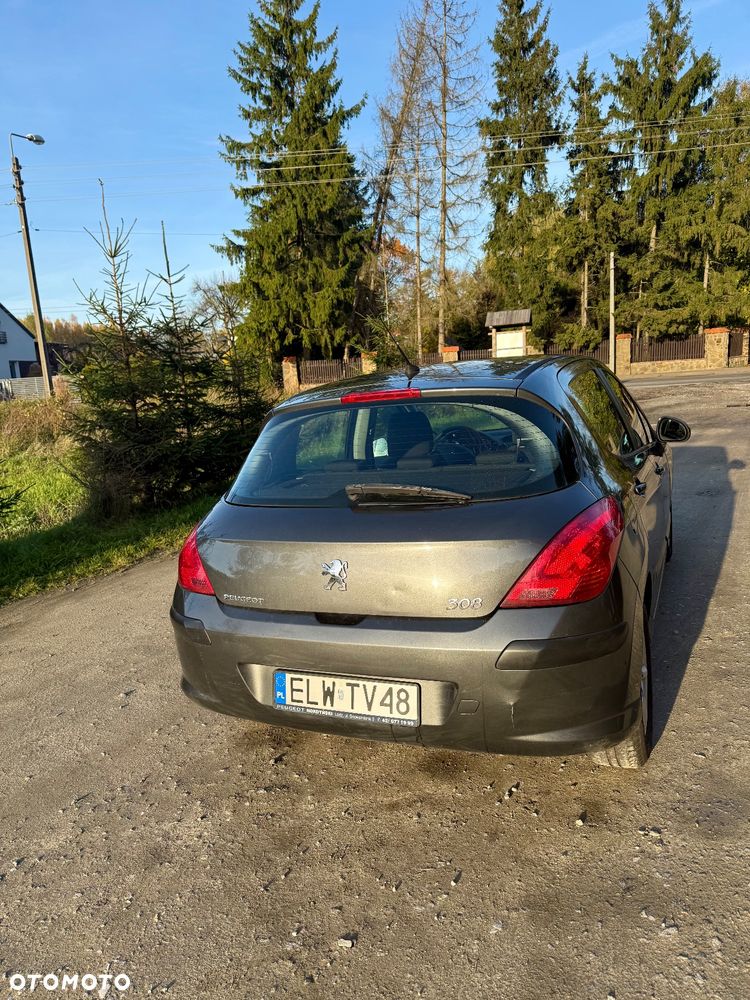 Peugeot 308 - 13