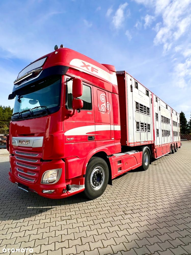 Pezzaioli NACZEPA  2017 / 3 POZIOMY / TRANSPORT ZWIERZĄT / HYDRAULIKA / STEROWANIE PILOTEM/ PODNOSZONY DACH / - 5