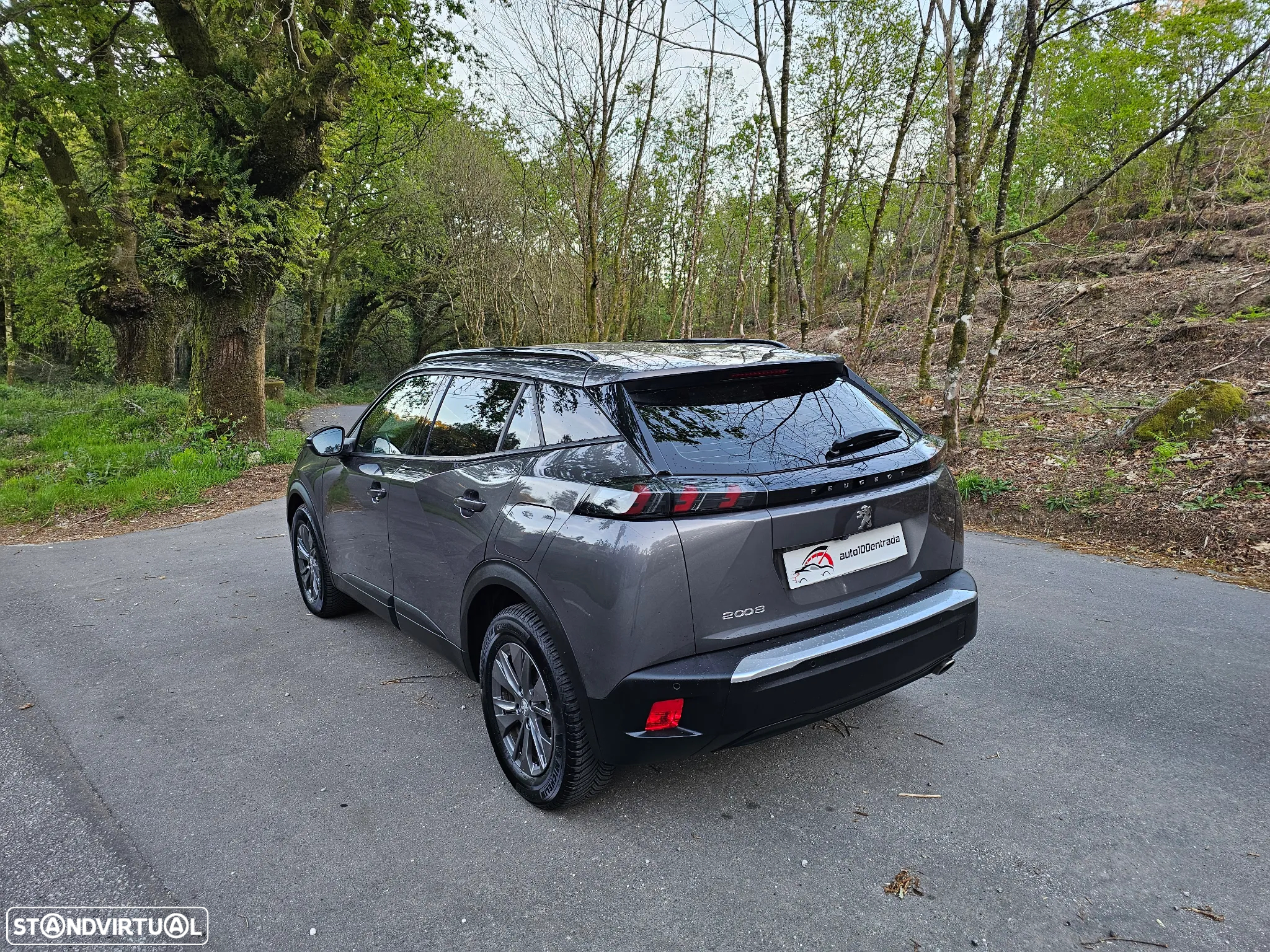 Peugeot 2008 - 6