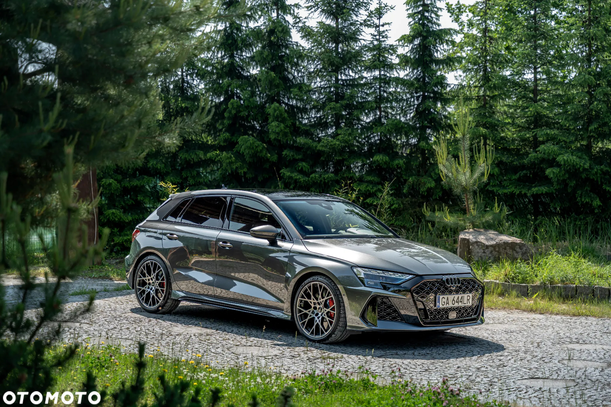 Audi RS3 TFSI Quattro S tronic - 2