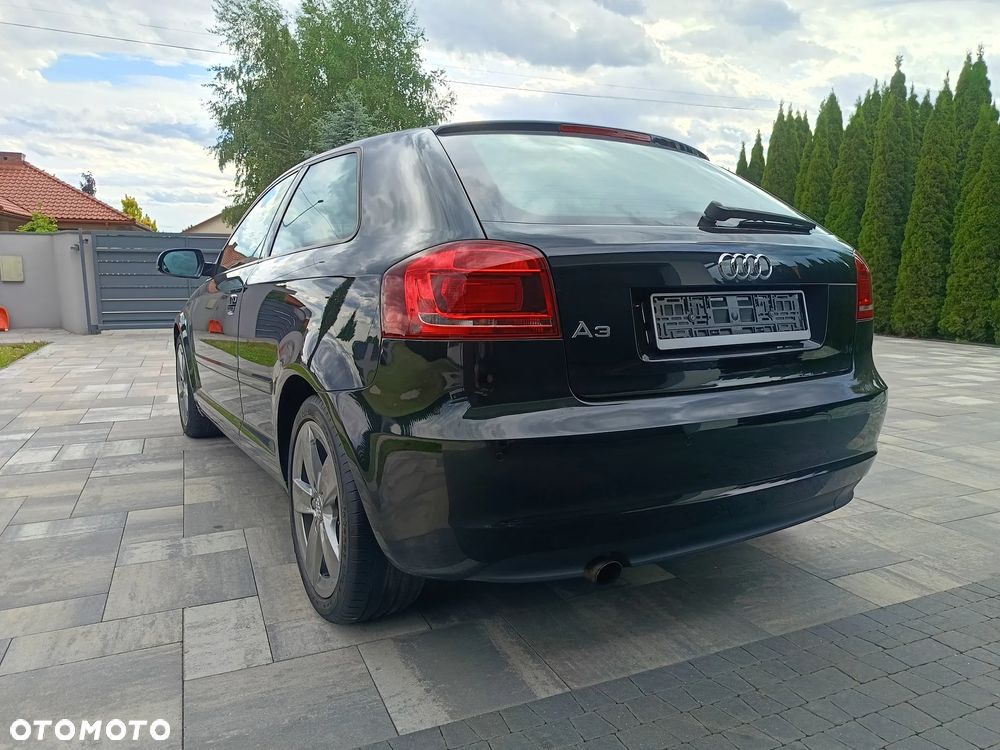 Audi A3 3-drzwiowe 1.6 Limited Edition - 12