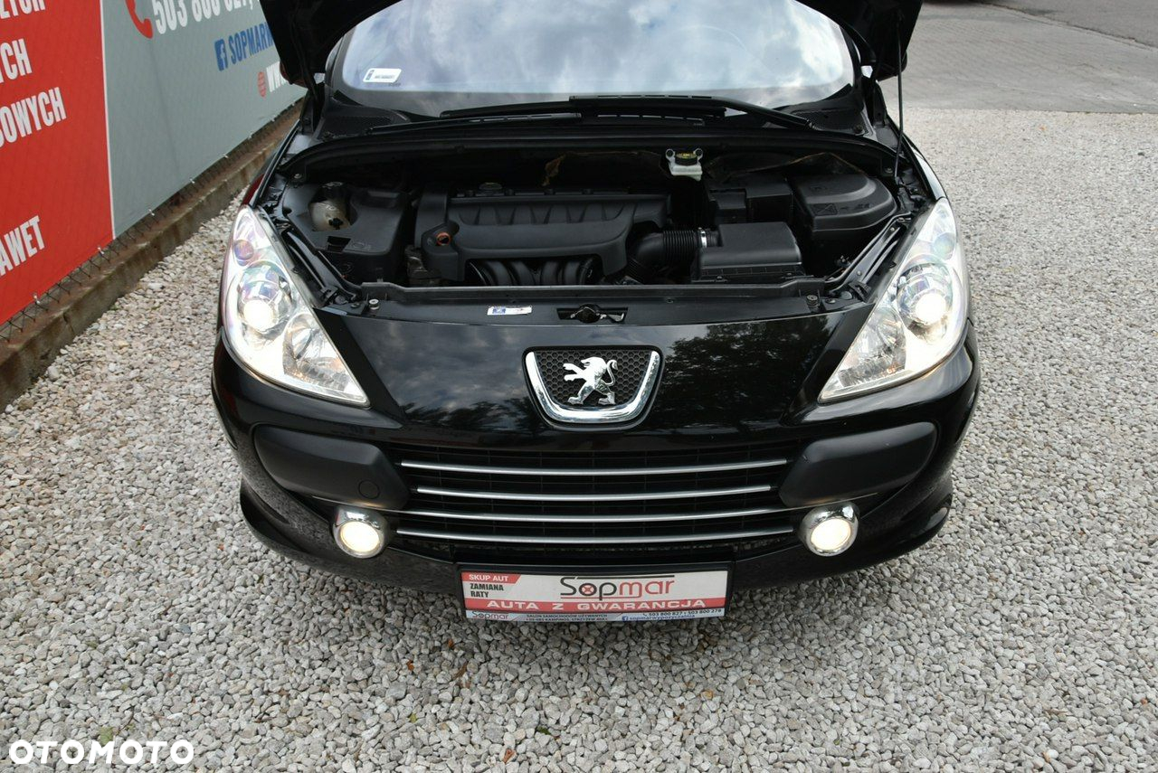 Peugeot 307 - 24
