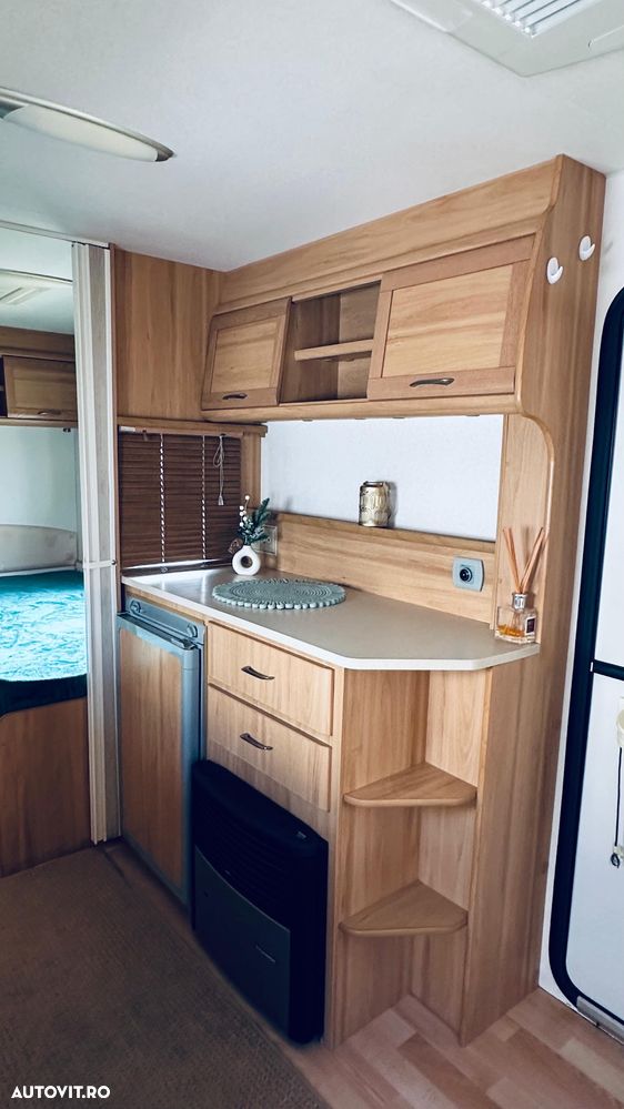 Bailey Avondale - 15