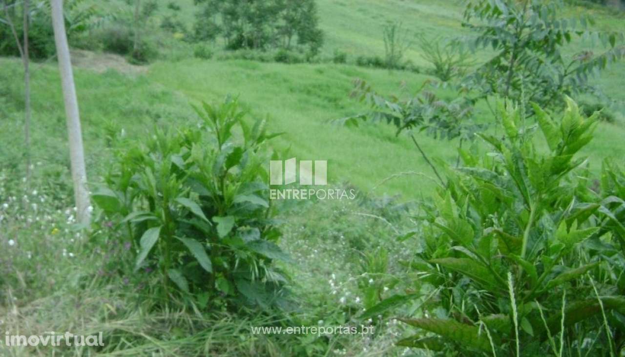 Venda Terreno, Freixo de Baixo, Amarante - Grande imagem: 2/9