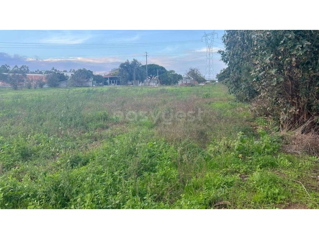 Terreno de Construçao- Lameira, Ortigosa - Grande imagem: 4/10