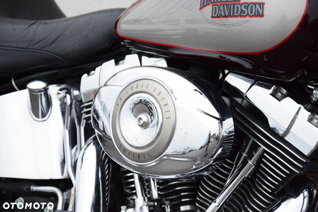 Harley-Davidson Softail Custom - 16