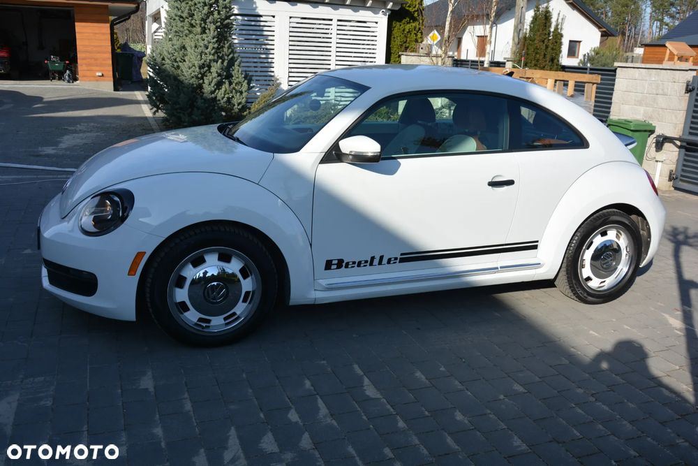 Volkswagen Beetle - 10