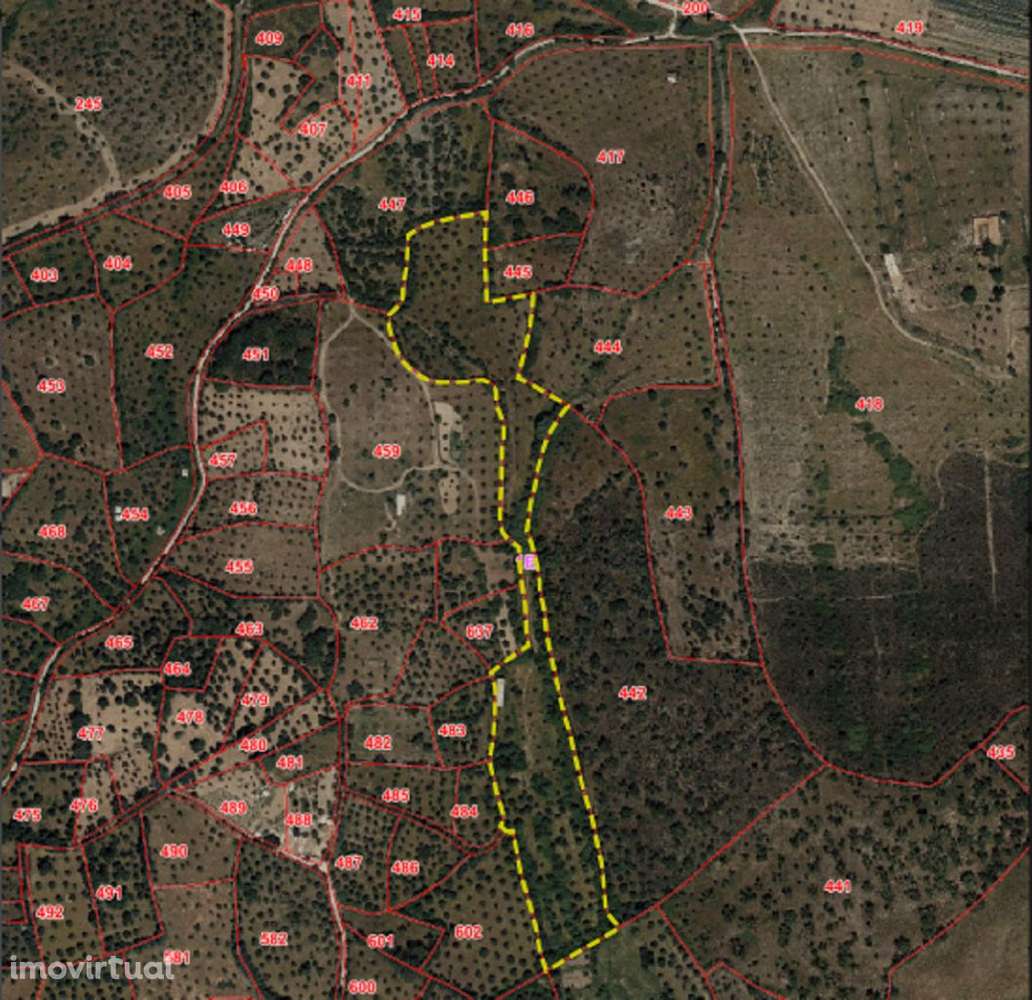 Moradia T3 com garagem e terreno amplo - Grande imagem: 3/9