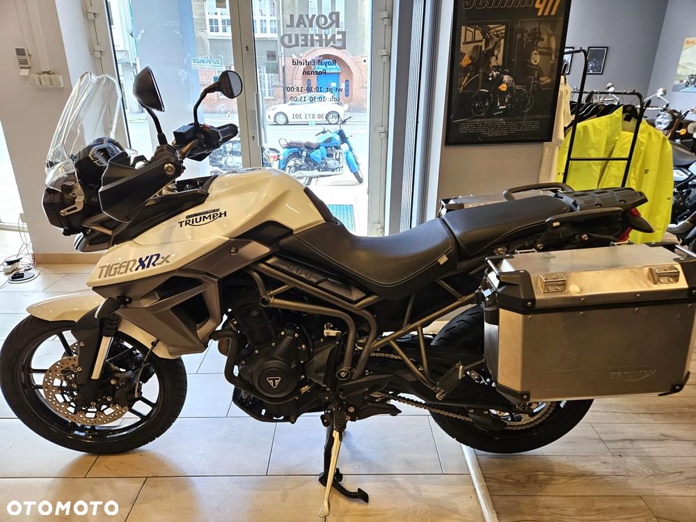 Triumph Tiger - 4