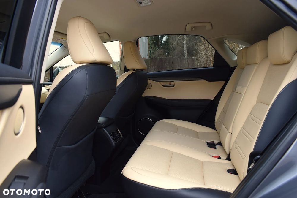 Lexus NX 300h Prestige AWD - 7