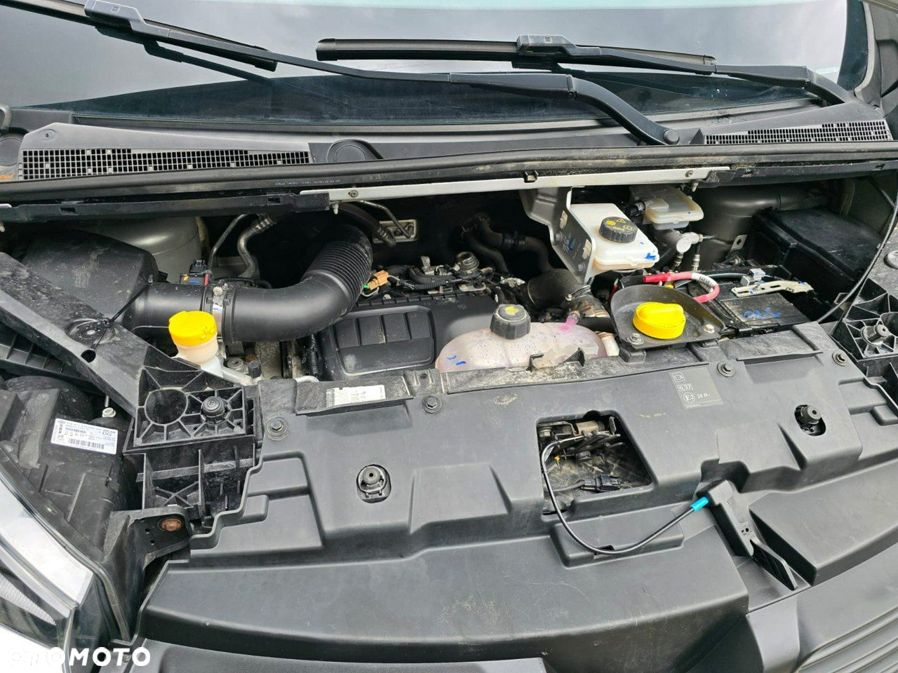 Renault Trafic - 40