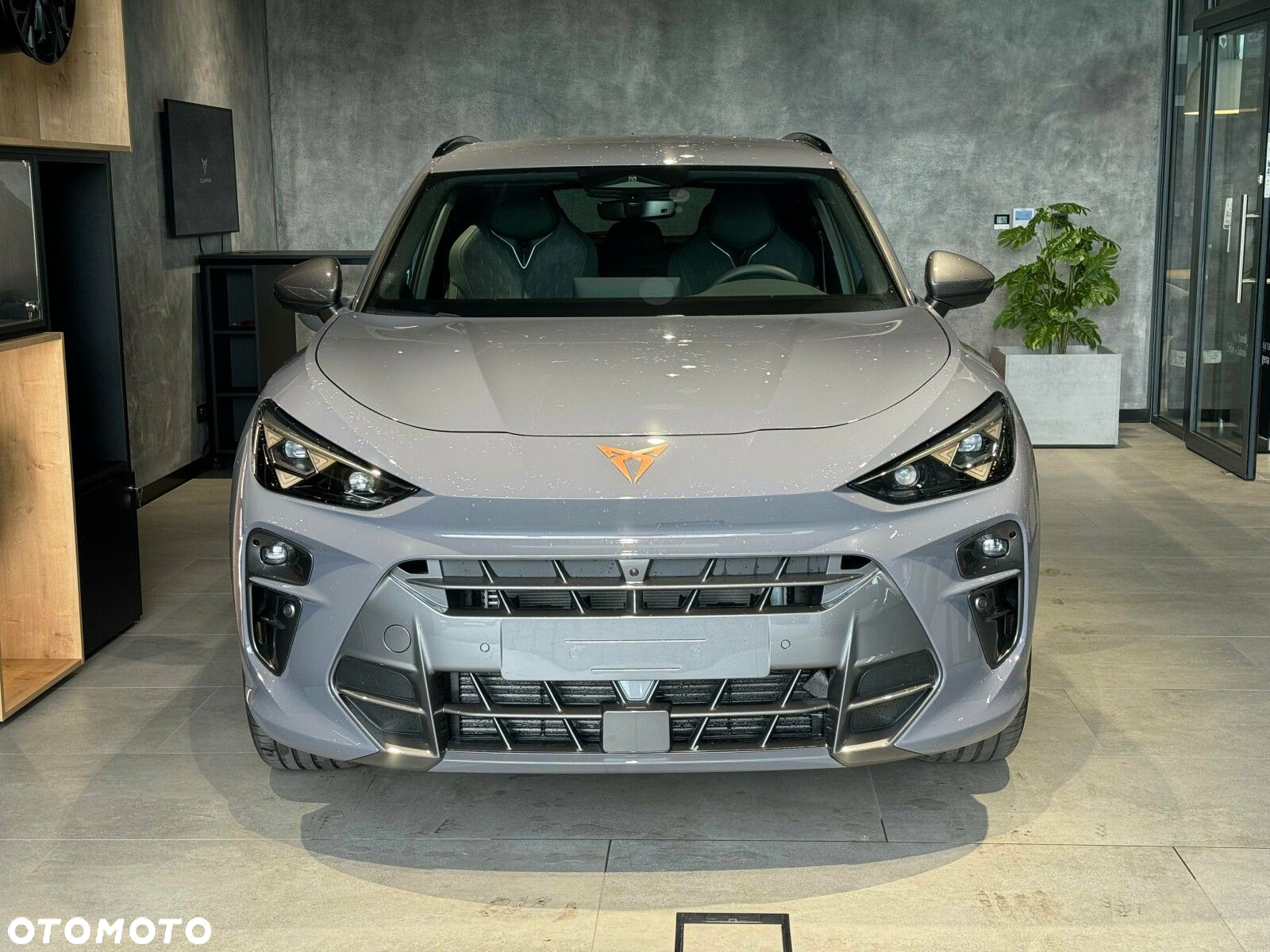 Cupra Terramar - 3