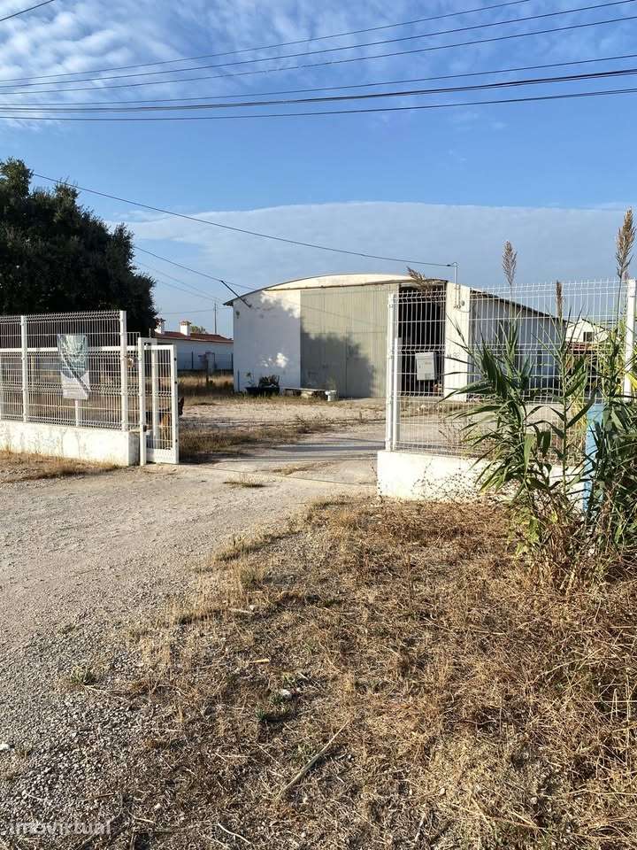Armazém de 350m² para arrendar em Benavente - Grande imagem: 4/16