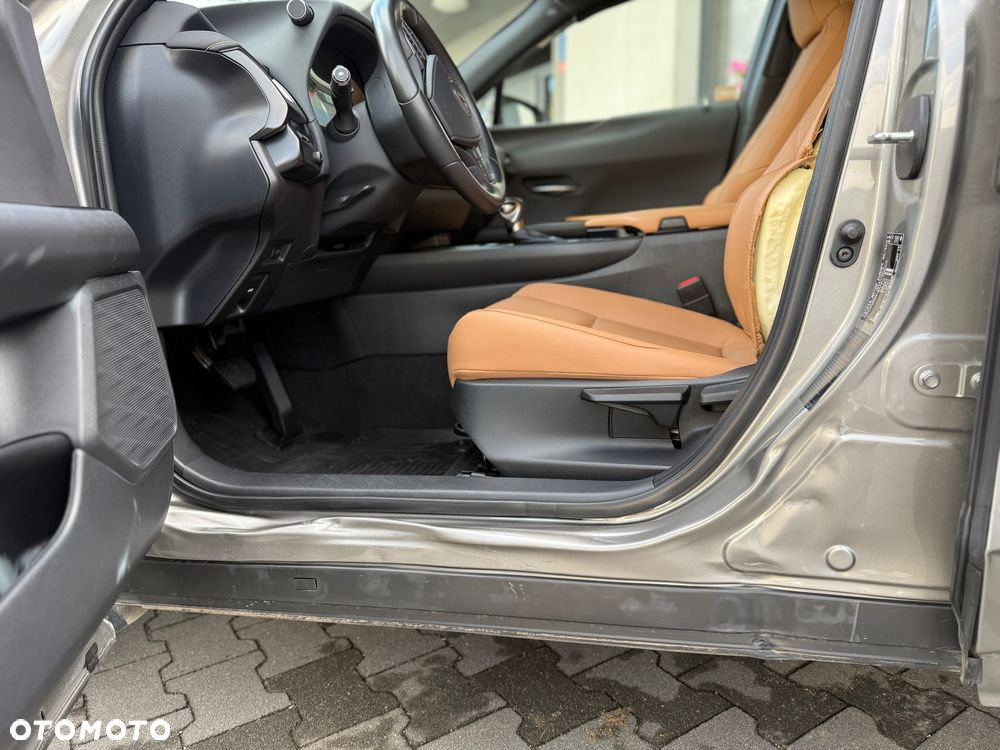 Lexus UX 250h GPF F Sport Design+ 2WD - 12