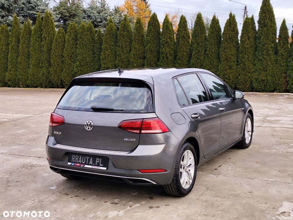 Volkswagen Golf - 38