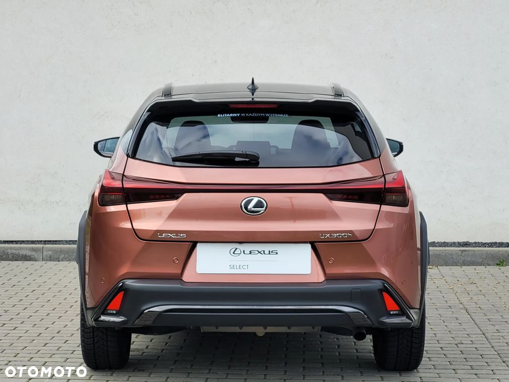 Lexus UX 300h F Sport Design - 9