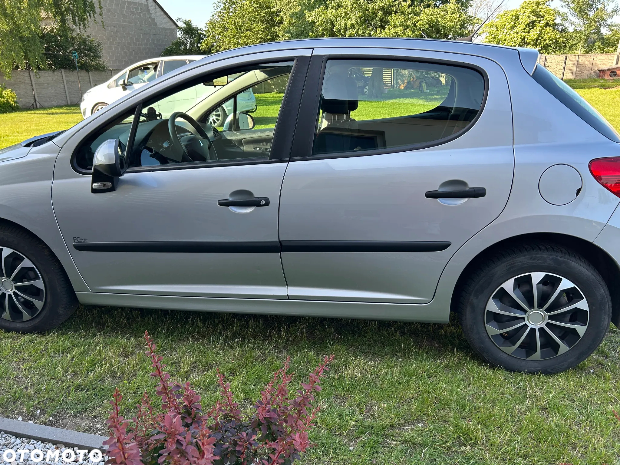 Peugeot 207 - 4