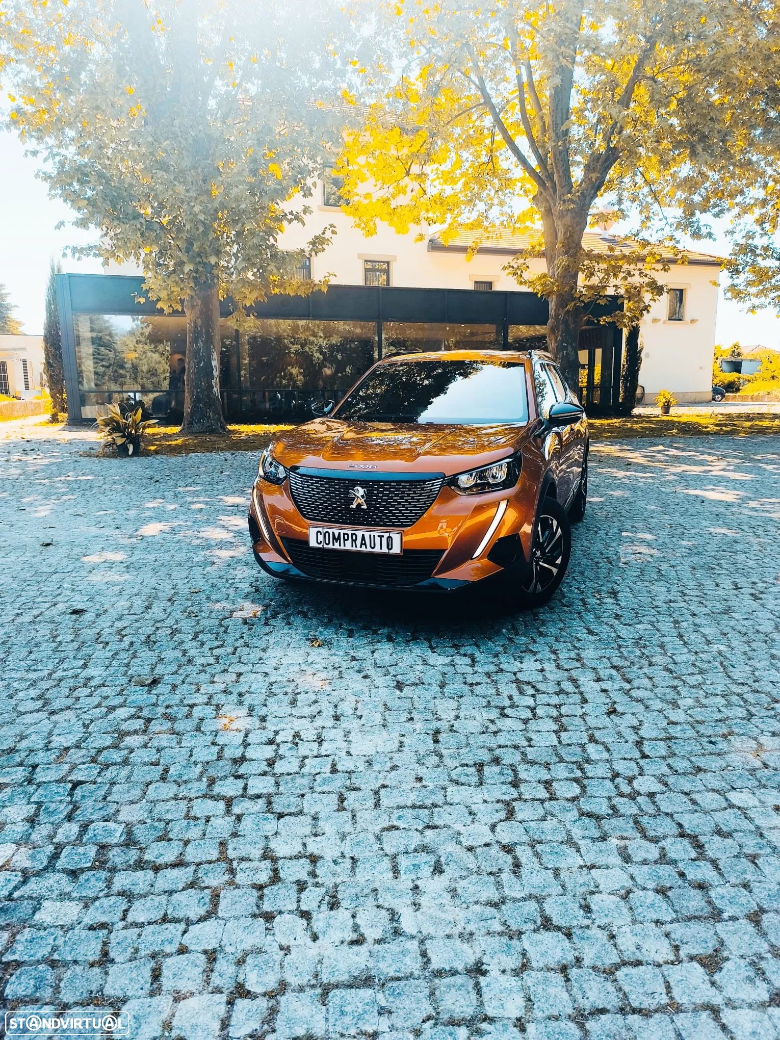 Peugeot 2008 - 1