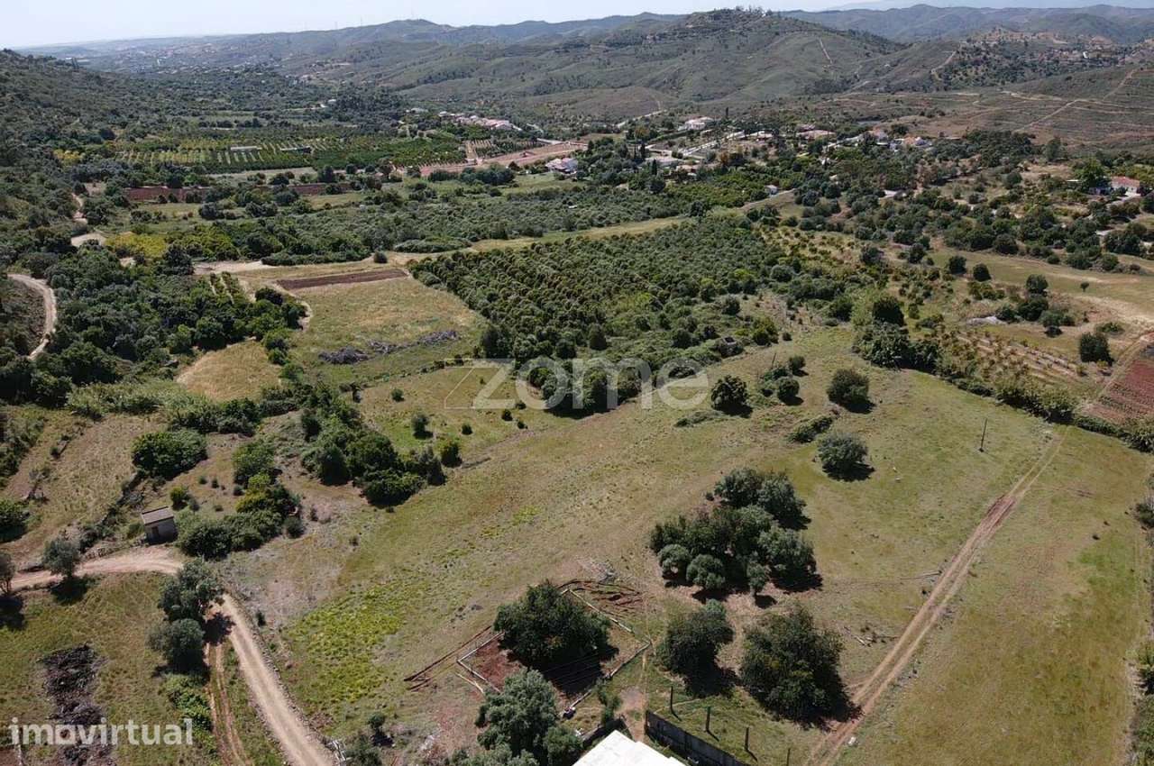 Terreno Rústico c/4.640m2 em Vilarinho, S.B.Messines - Grande imagem: 4/16