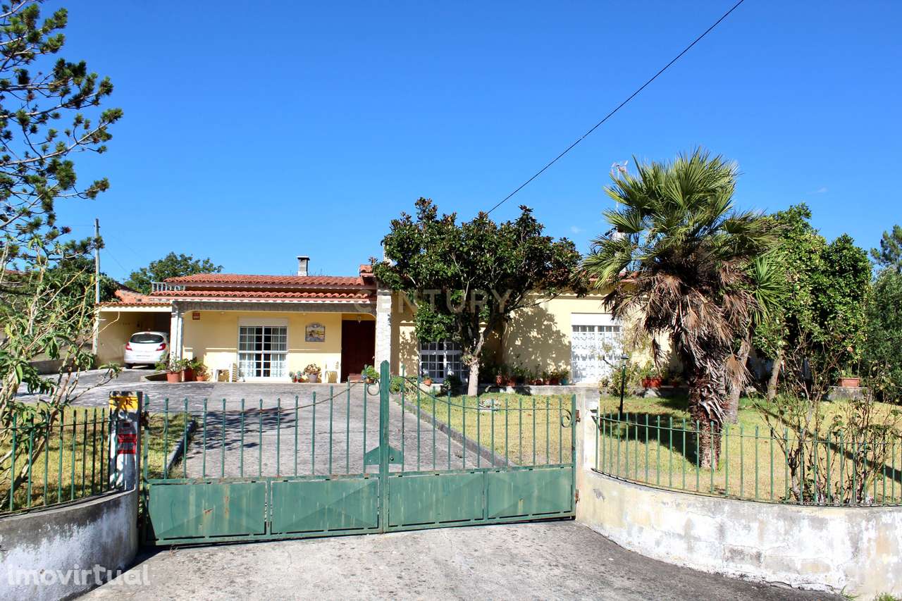 Moradia T3 em Pombal - Grande imagem: 3/43