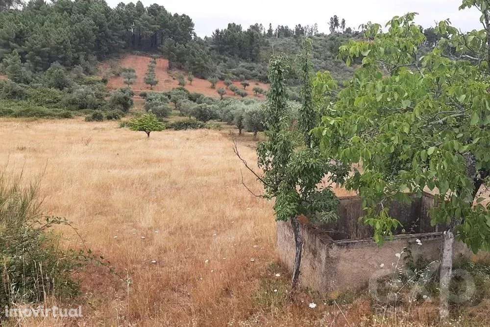 Terreno rústico - Freguesia Bouça - Grande imagem: 5/7