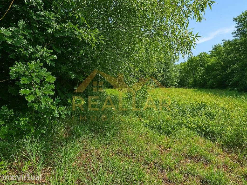 Oportunidade de Investimento Exclusiva: Terreno com Vistas Deslumbr... - Grande imagem: 2/24