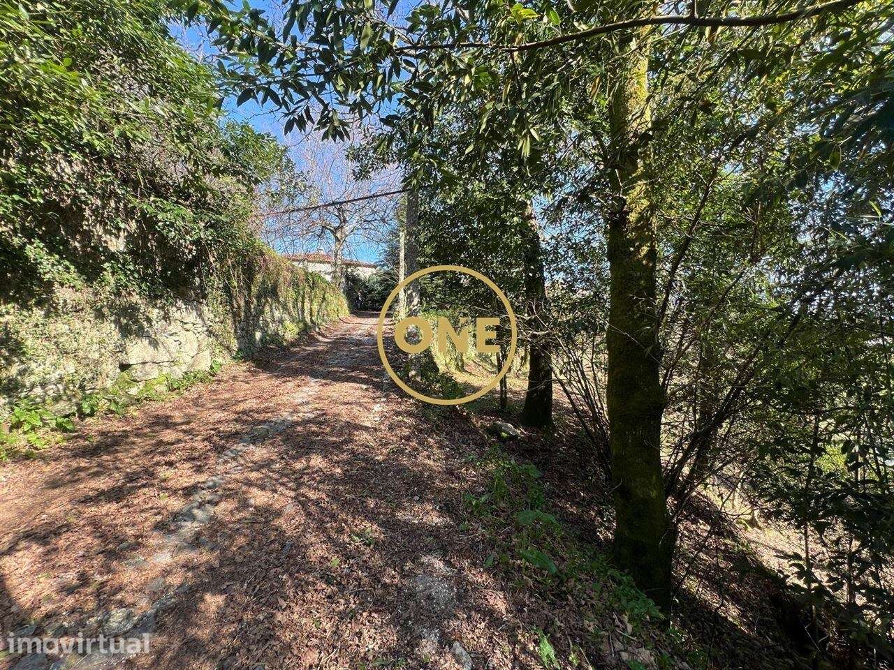 Quinta em Eira Vedra, a 2 minutos de Vieira do Minho, inserida num ter - Grande imagem: 3/40