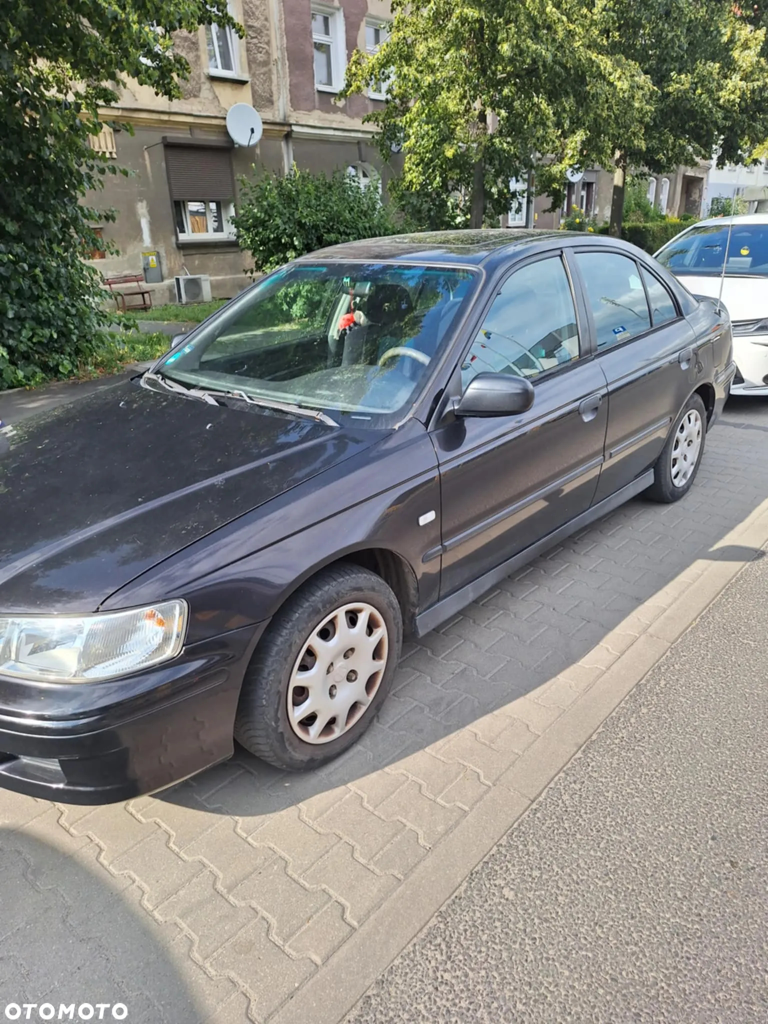 Honda Accord - 7