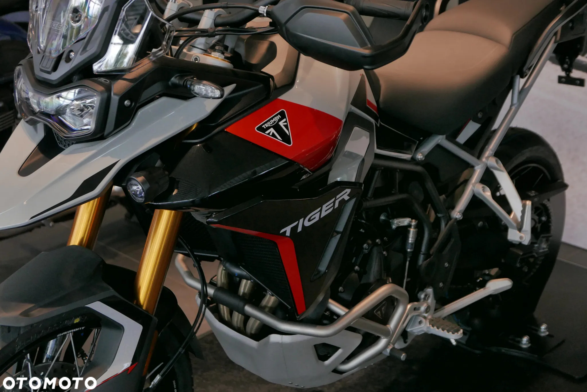 Triumph Tiger - 12