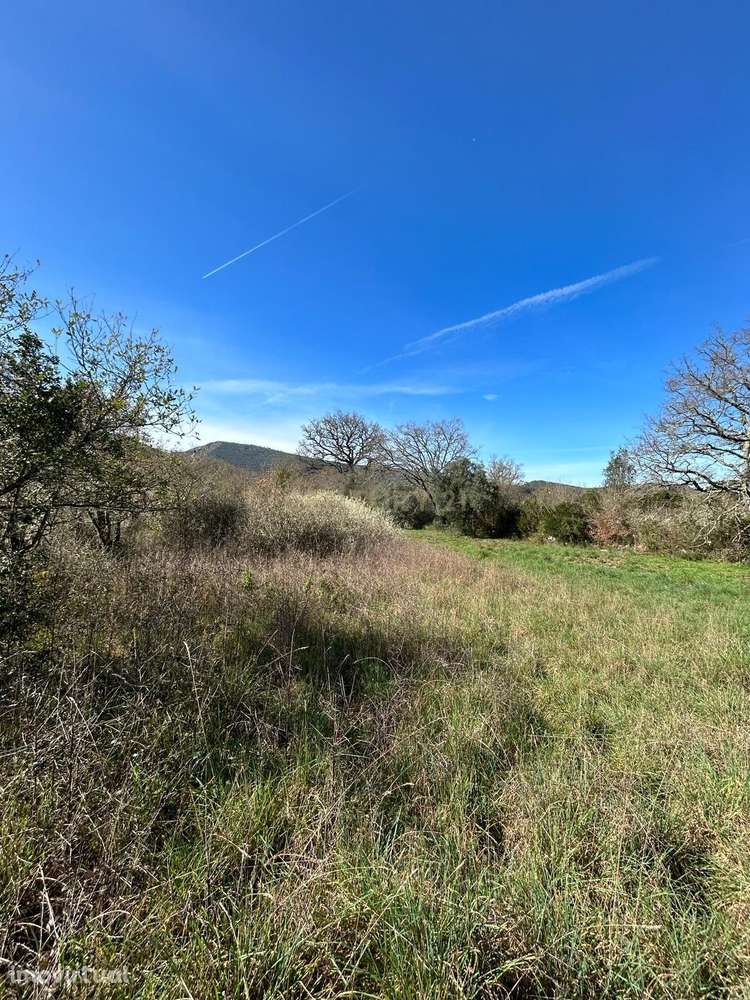 Terreno Rústico Alcaria - Grande imagem: 5/10