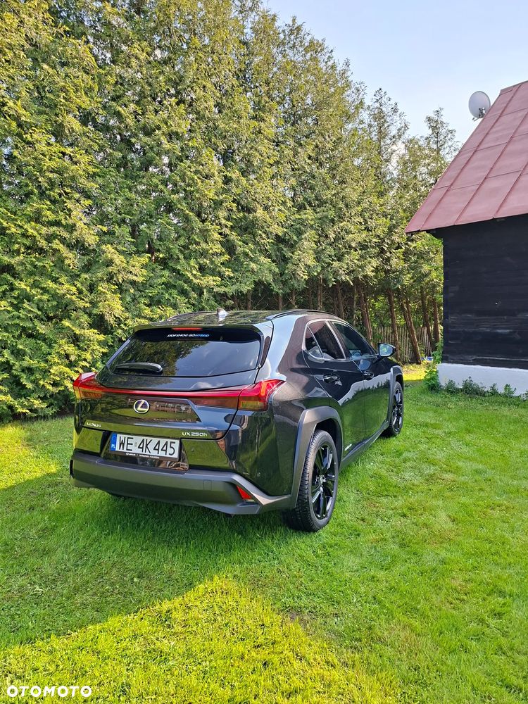 Lexus UX - 15
