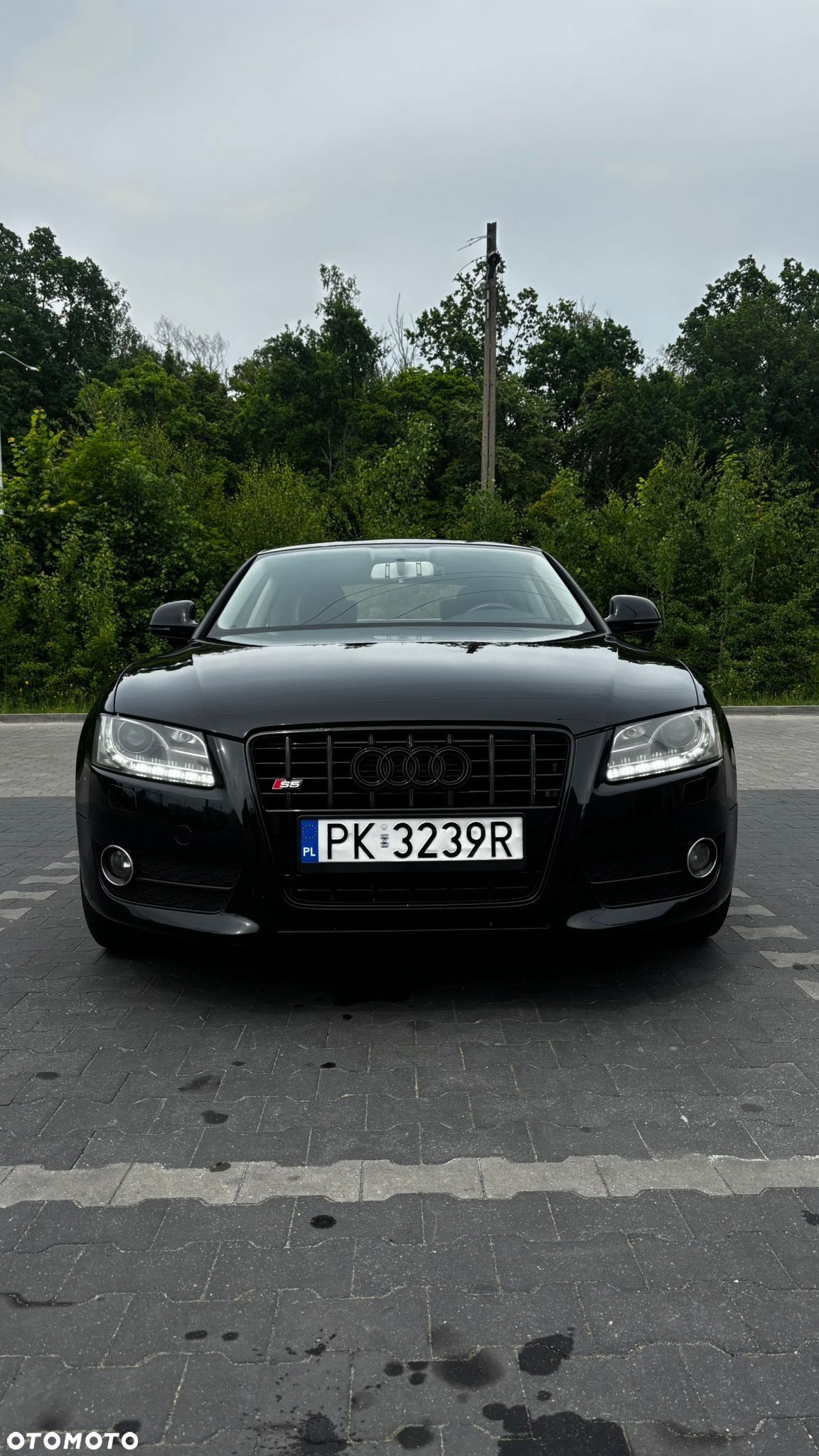 Audi A5 2.7 TDI DPF multitronic - 1