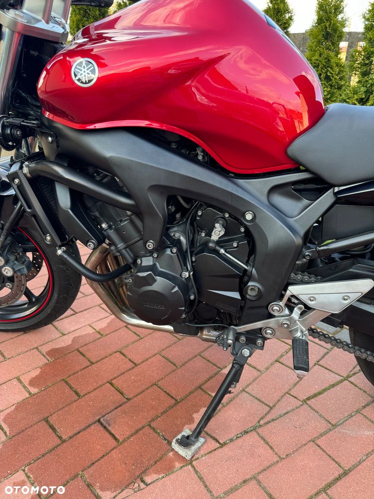 Yamaha FZ6 - 4