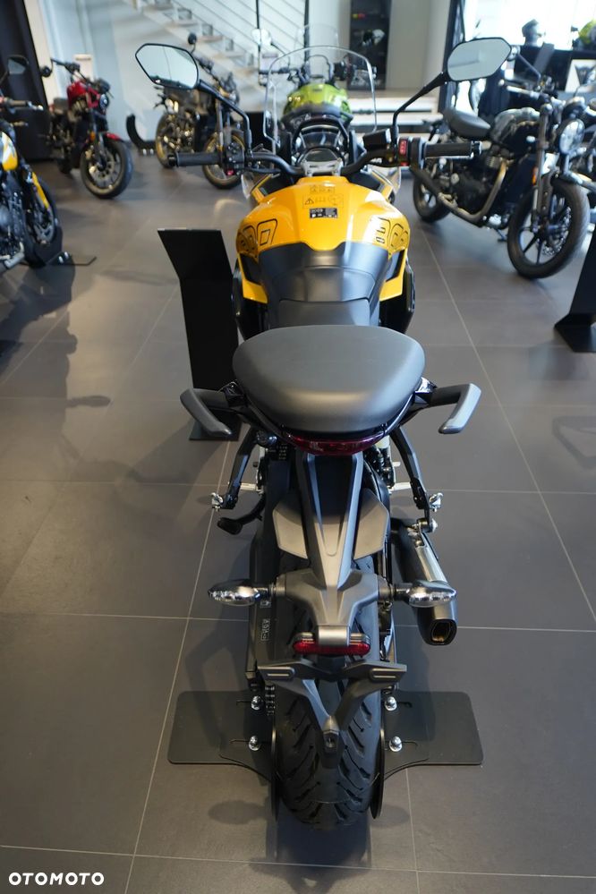 Triumph Tiger - 10