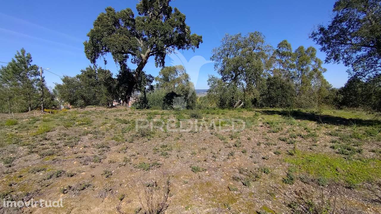 Terreno Rústico 1640 m2 - Grande imagem: 2/23