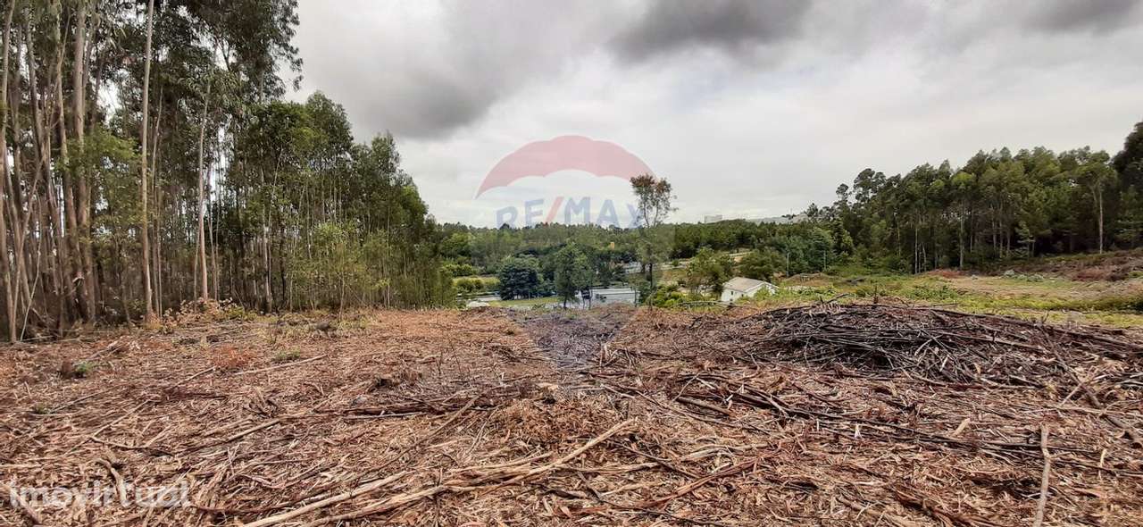 Terreno  para venda - Grande imagem: 3/6