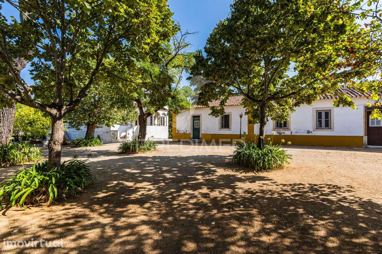 Quinta do Casalito – Comprar Quinta com Elegância, História e Poten... - Grande imagem: 5/36