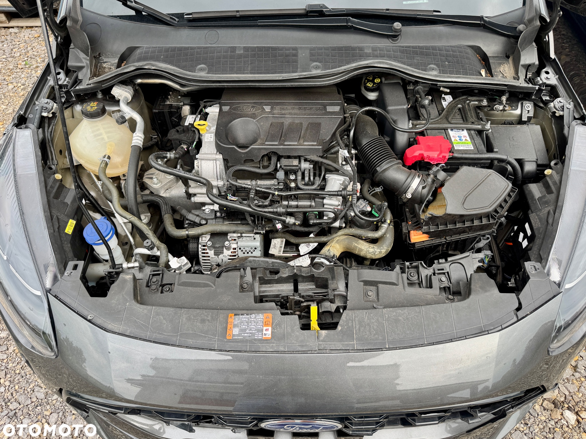 Ford Fiesta - 32