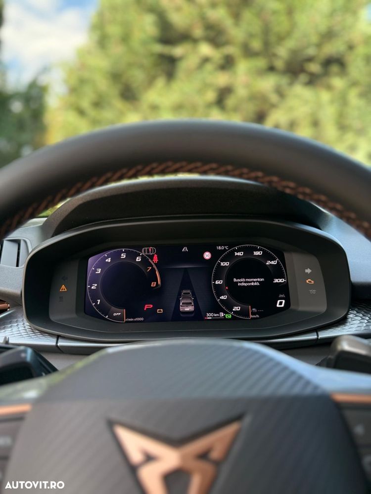 Cupra Terramar - 14