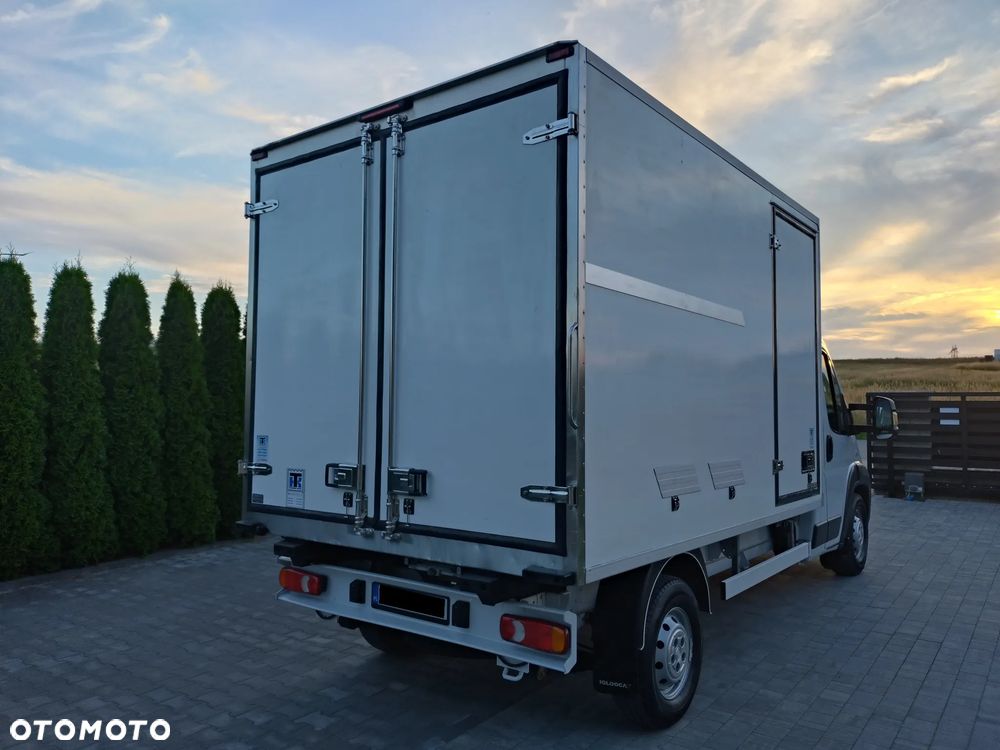 Fiat Ducato Chłodnia ThermoKing - 4