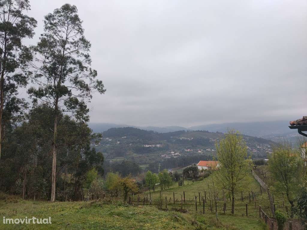 Terreno Rústico - Grande imagem: 3/6