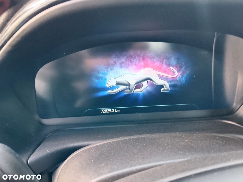 Ford Puma 1.0 EcoBoost mHEV ST-Line - 13