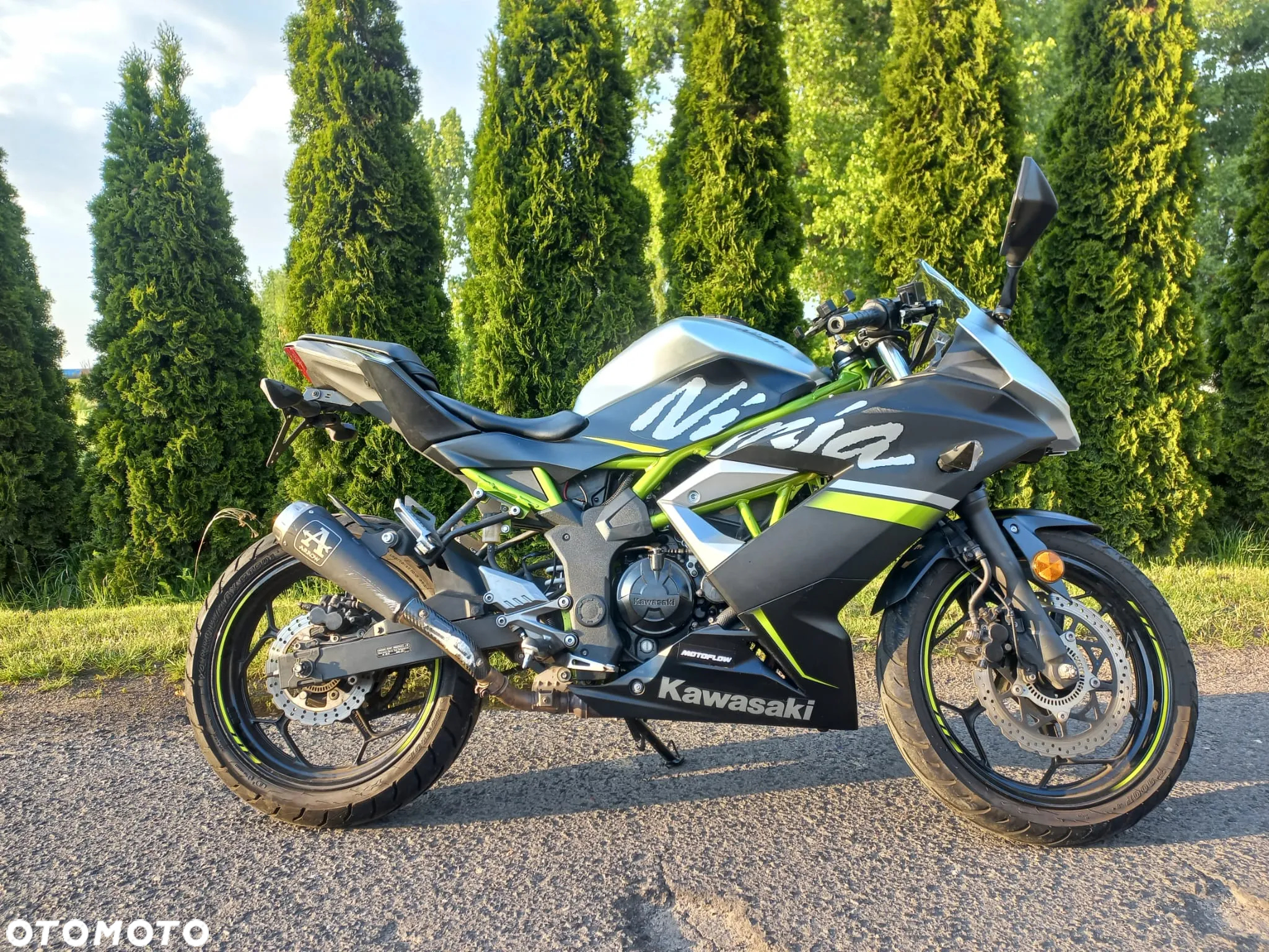 Kawasaki Ninja