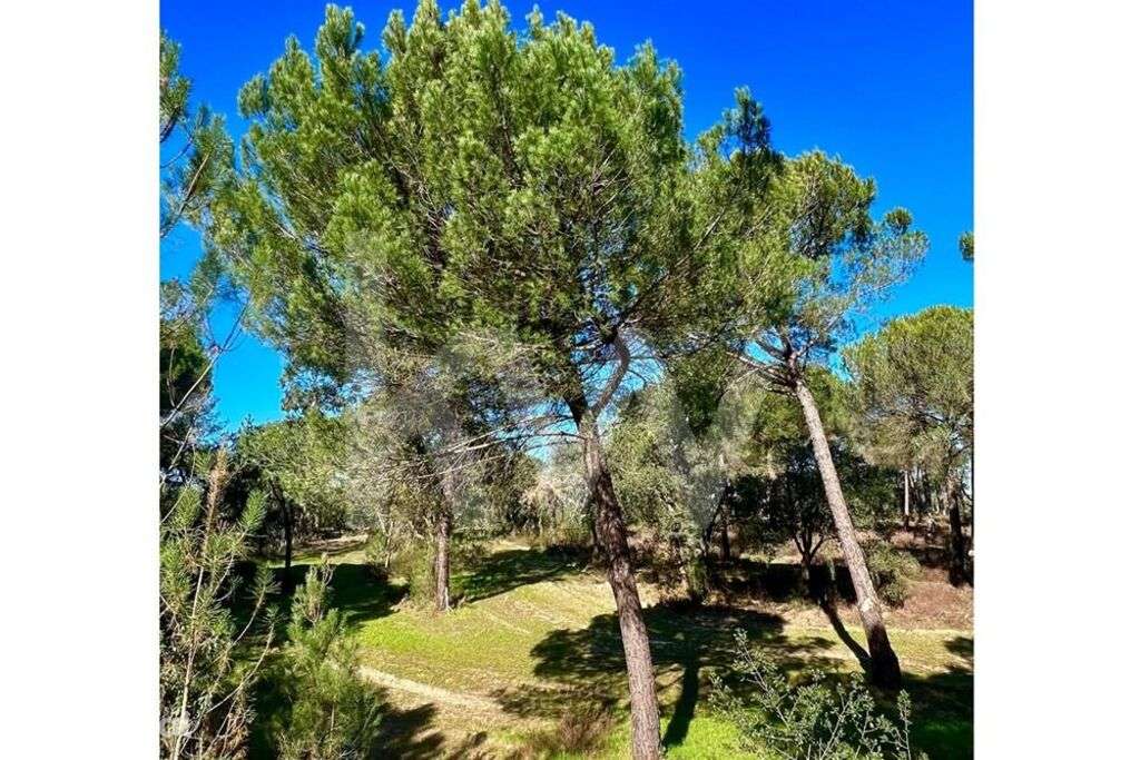 Novidade: Lote de terreno para construção de moradia em empreendimento - Grande imagem: 2/5